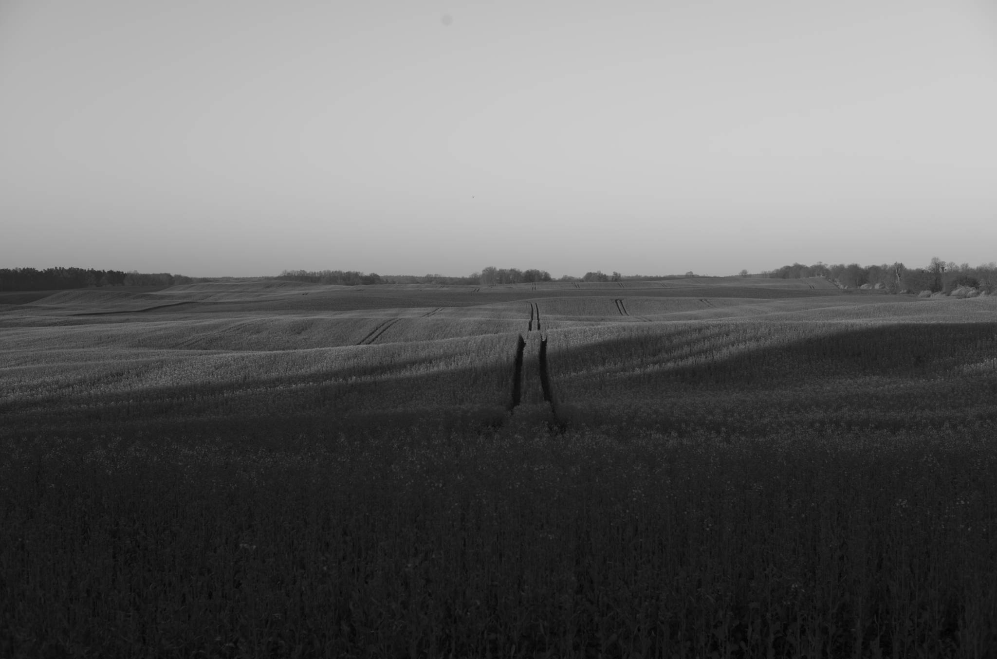 20230430 PK Gerswalde 006