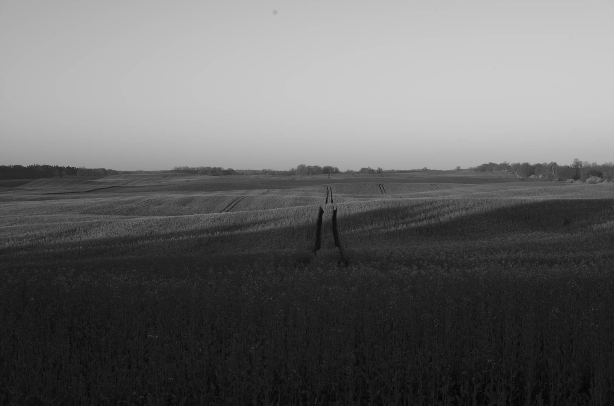 20230430 PK Gerswalde 007