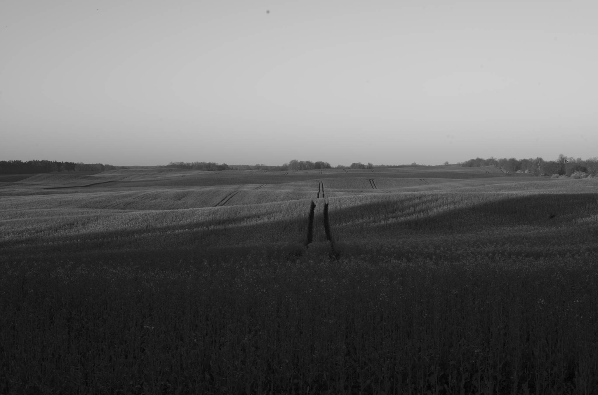 20230430 PK Gerswalde 008
