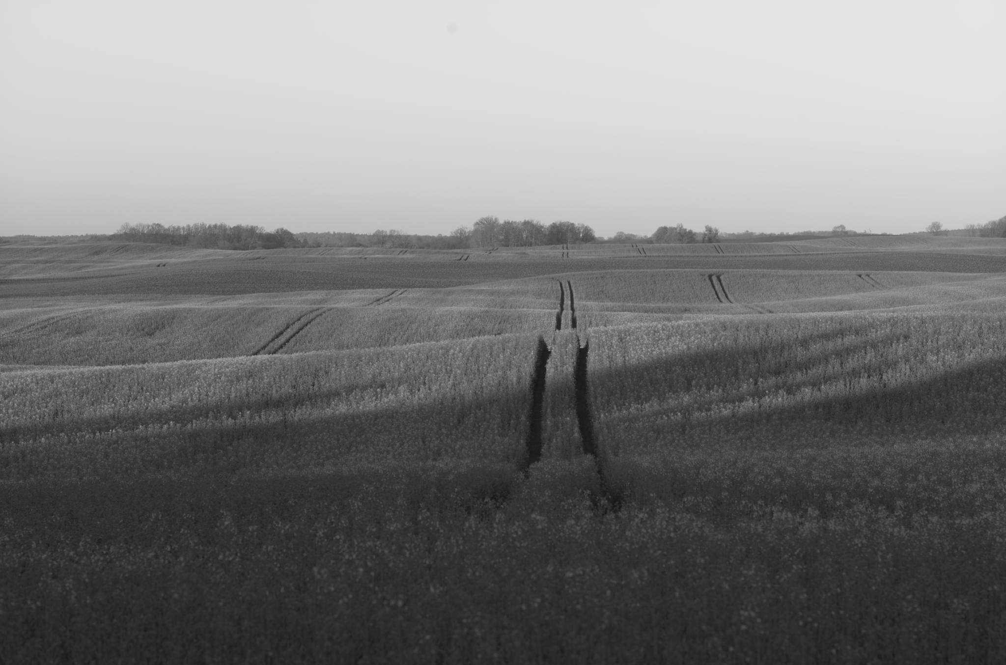 20230430 PK Gerswalde 009