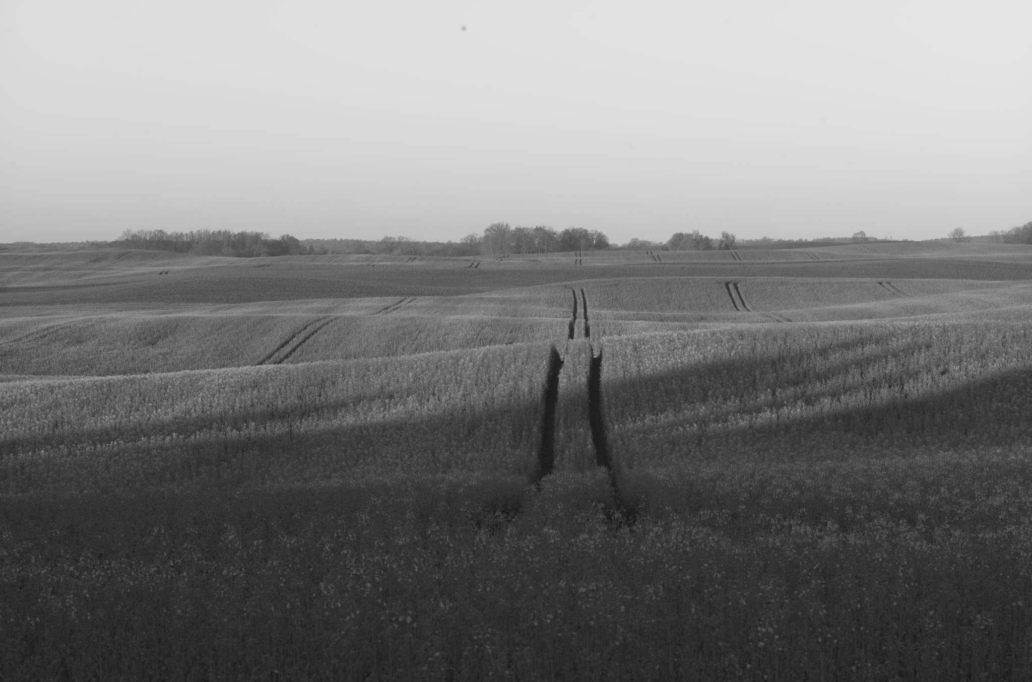 20230430 PK Gerswalde 011