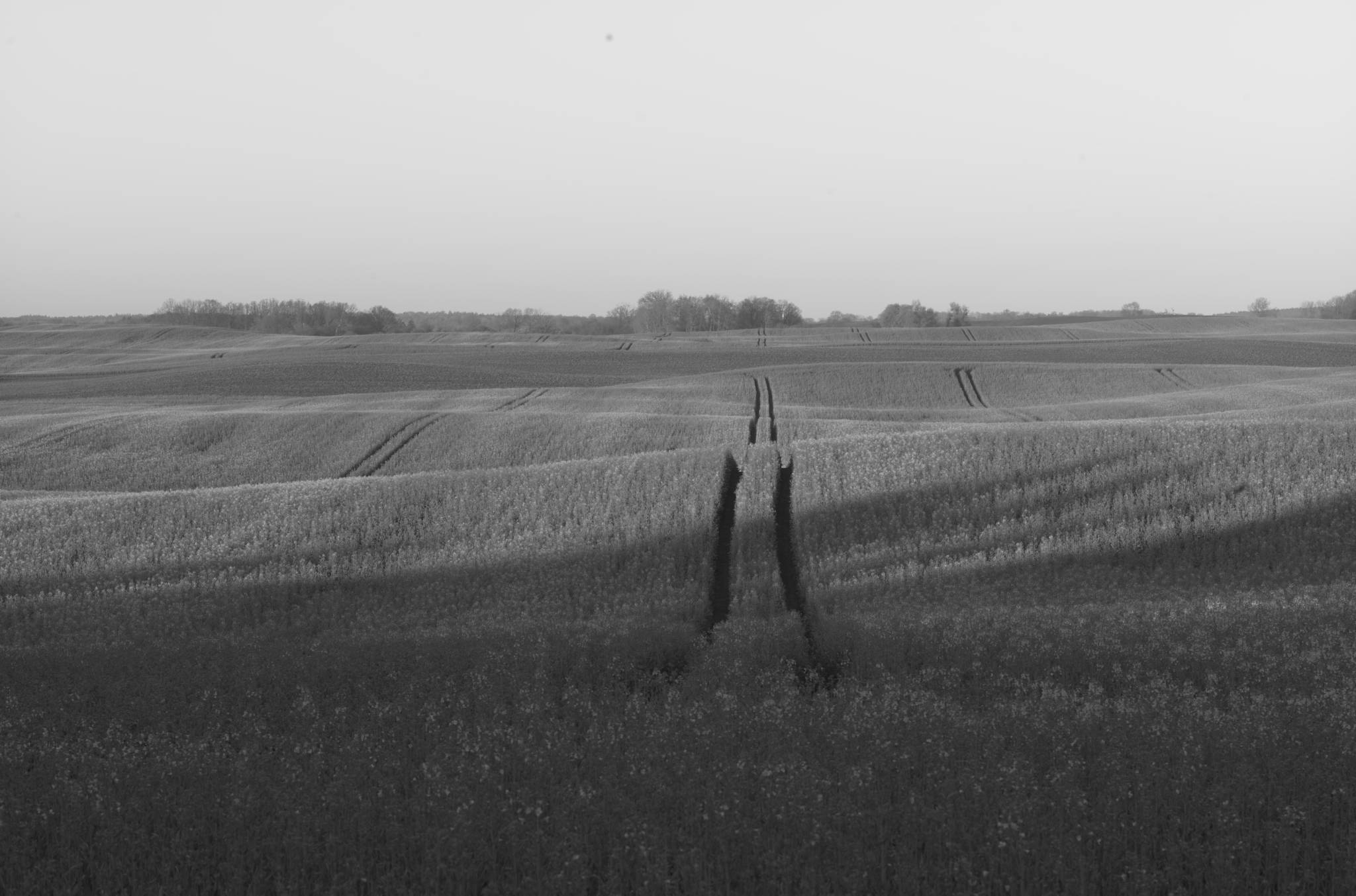 20230430 PK Gerswalde 012
