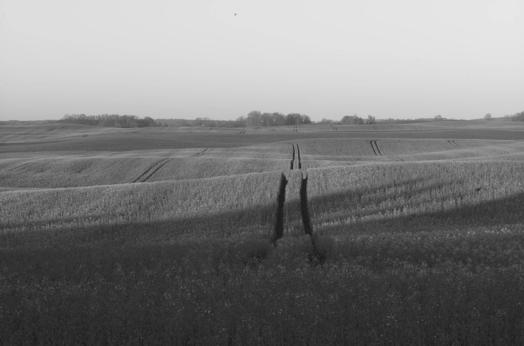 20230430 PK Gerswalde 014
