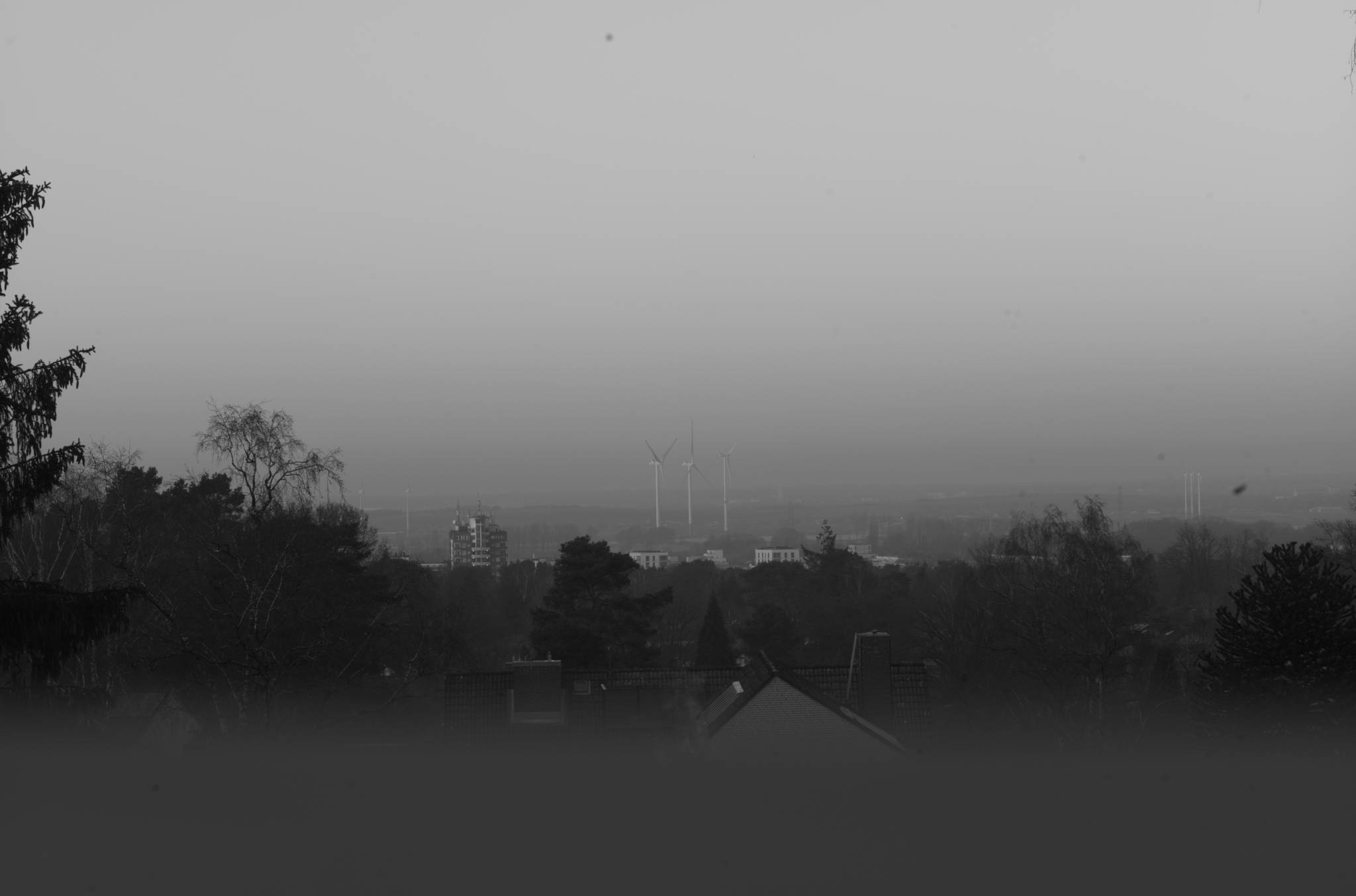 20230207 Windrader Francop 016