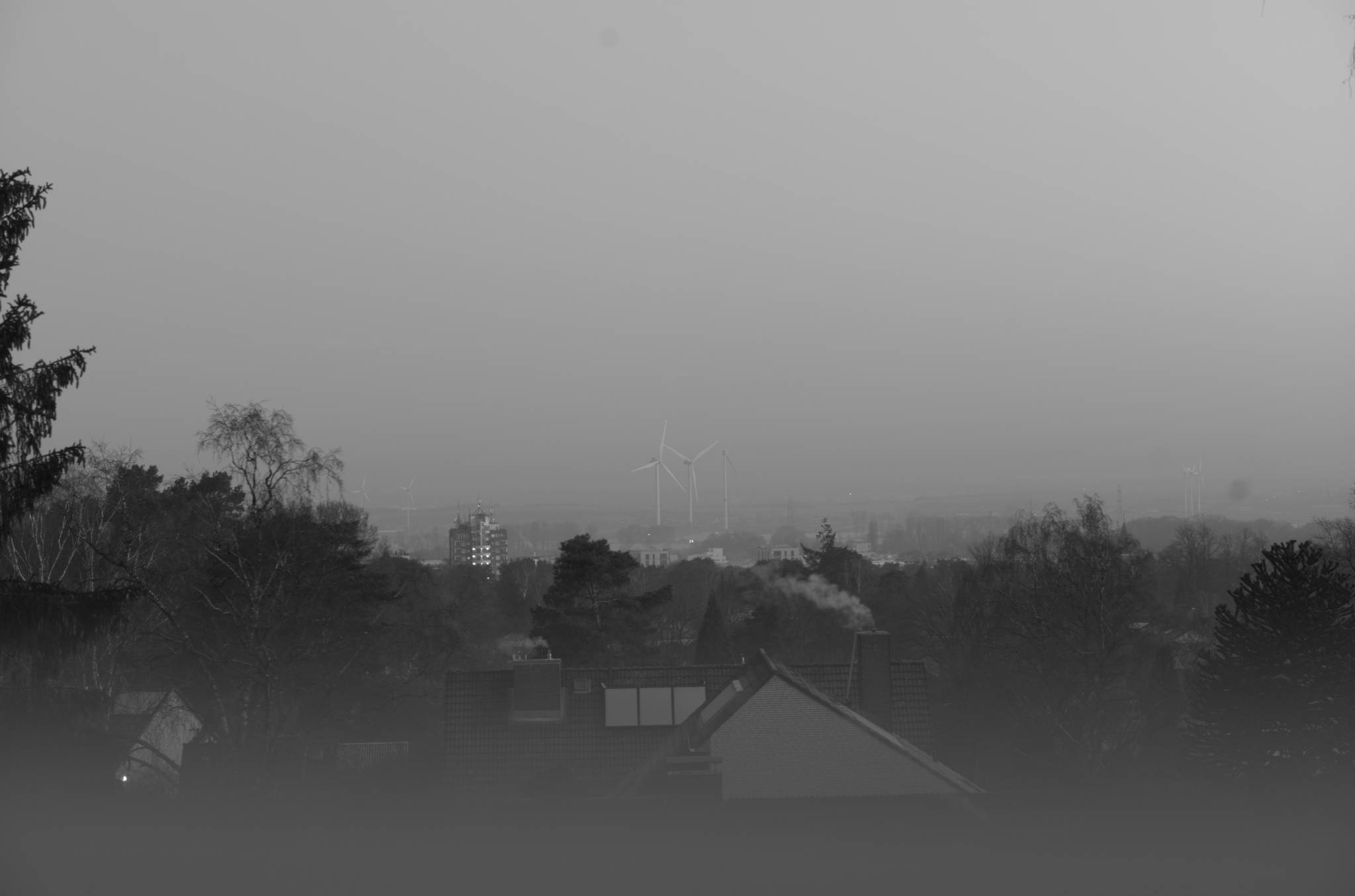 20230208 Windrader Francop 001